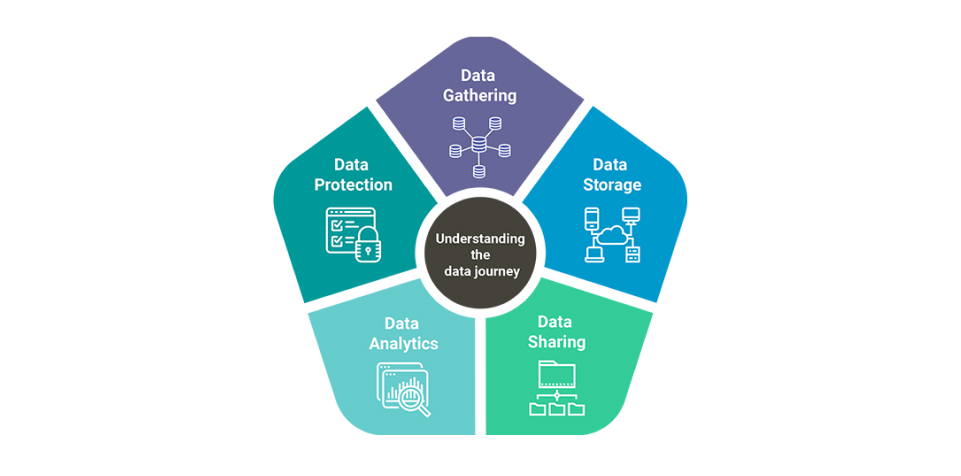 Data Storage and Organization